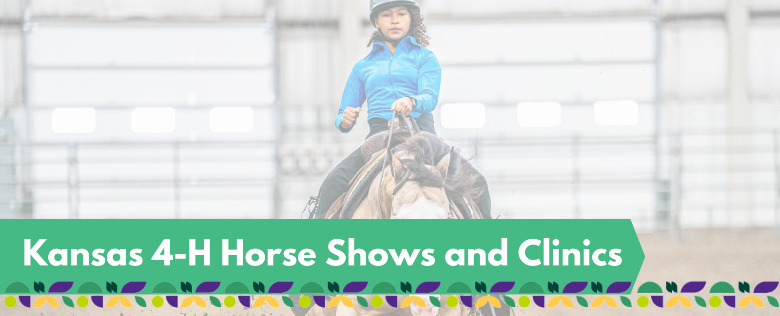 Horse Shows photo banner with title text