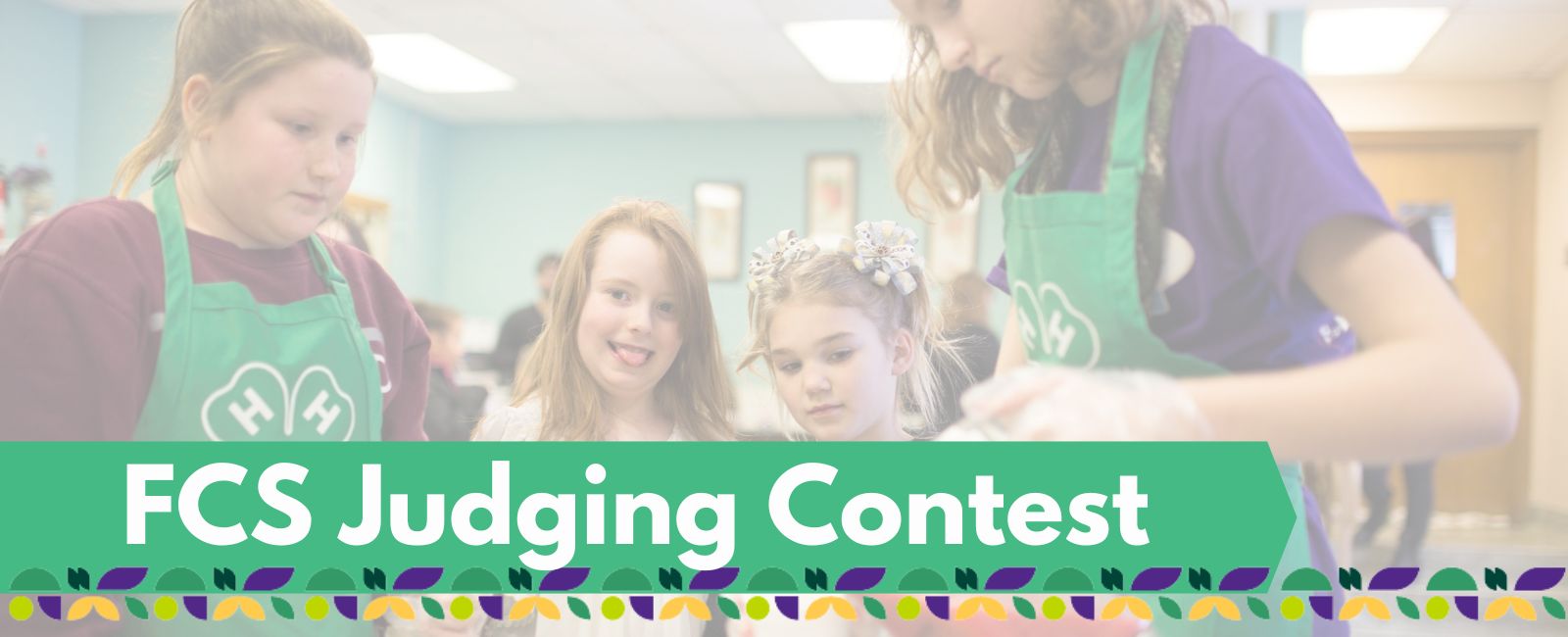 FCS Judging Banner with Text