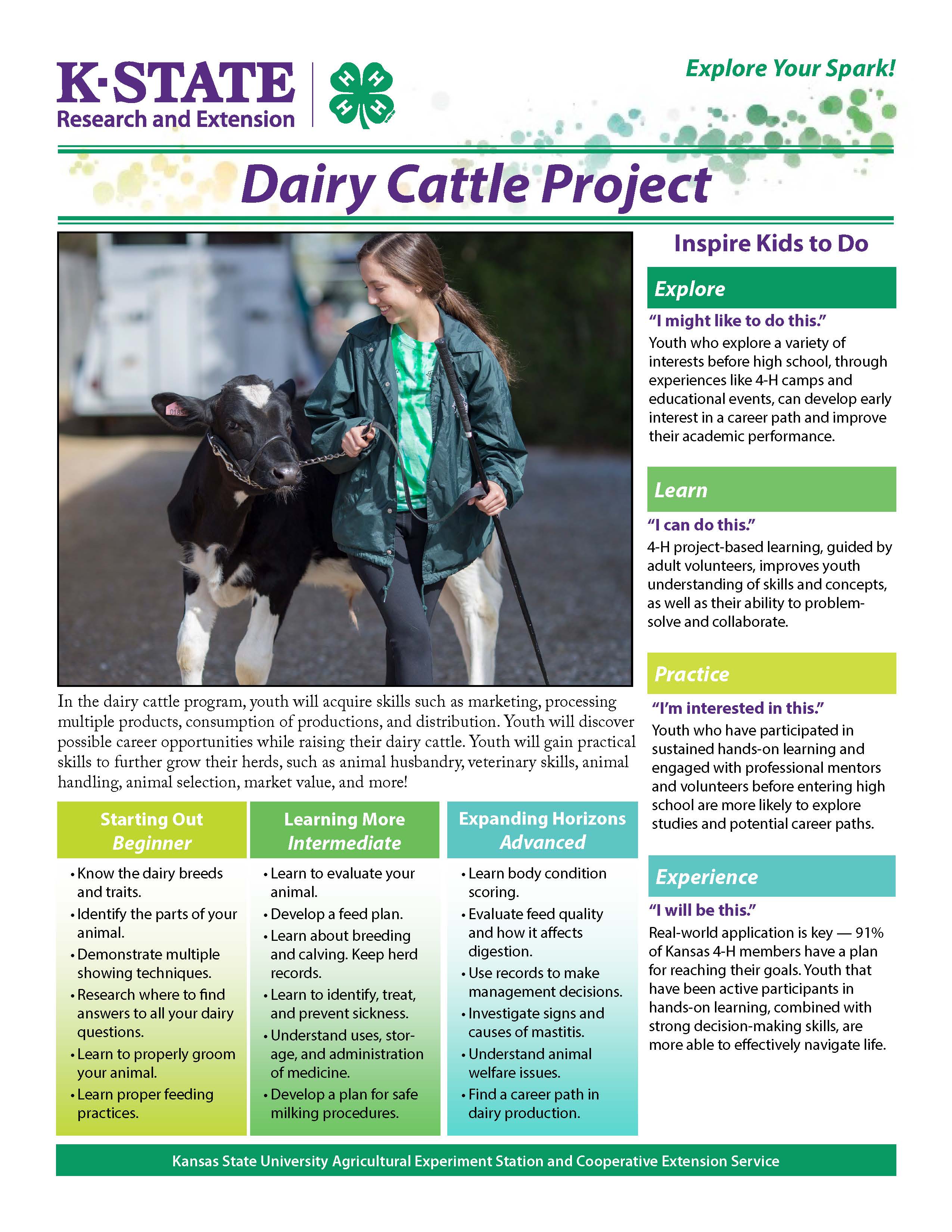 Dairy Cattle Project Guide