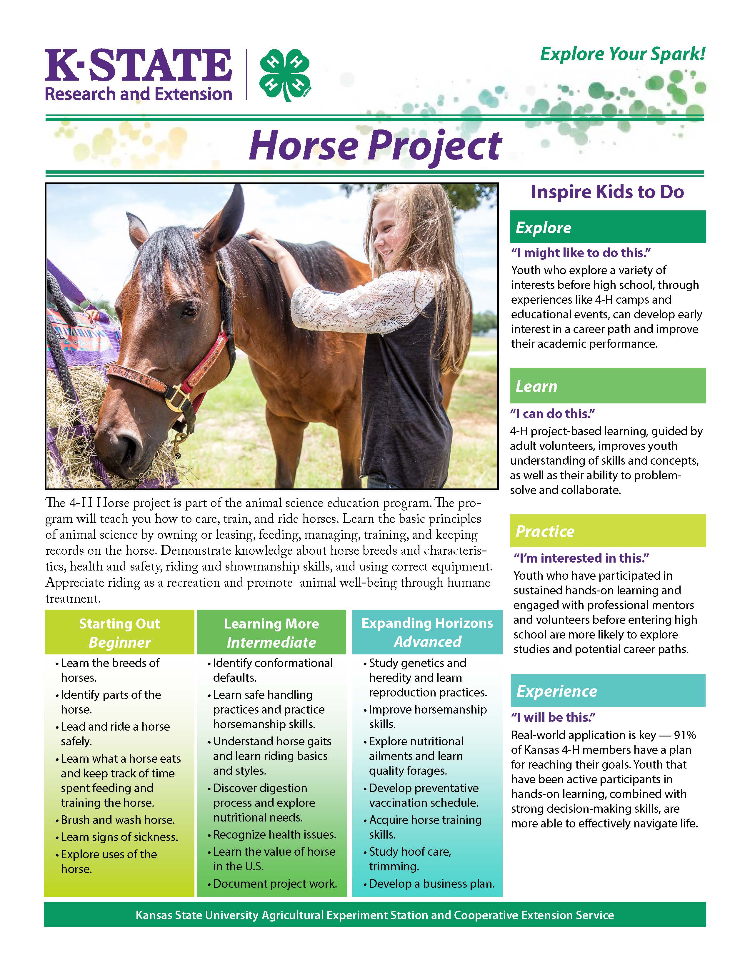Horse Project Guide